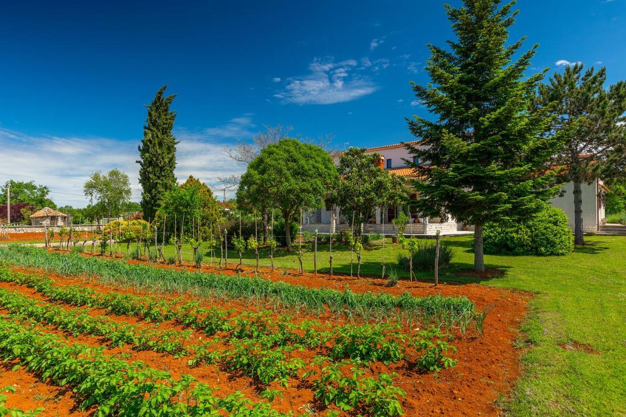 Apartmani Martina Poreč Buitenkant foto